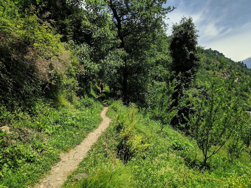Karam Orchard, Sumbli - Karam Orchard, Sumbli, near Pangan Gompa Road, Baragran, Manali, Himachal Pradesh 175129, India