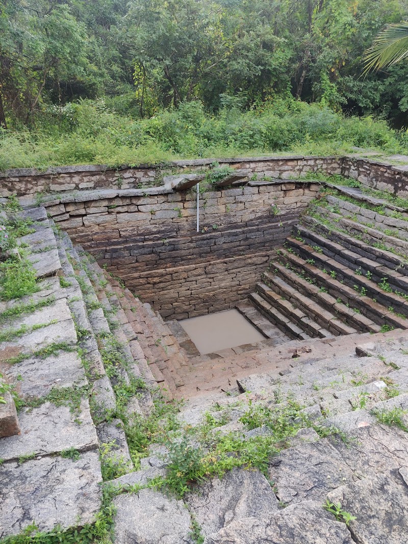 Devarayanadurga SF - Devarayanadurga SF, Karnataka 572140, India