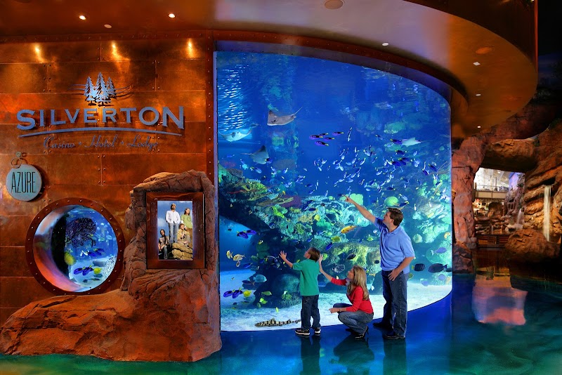 Silverton Casino Lodge - Silverton Casino Lodge 3333 Blue Diamond Rd, Las Vegas, NV 89139, USA