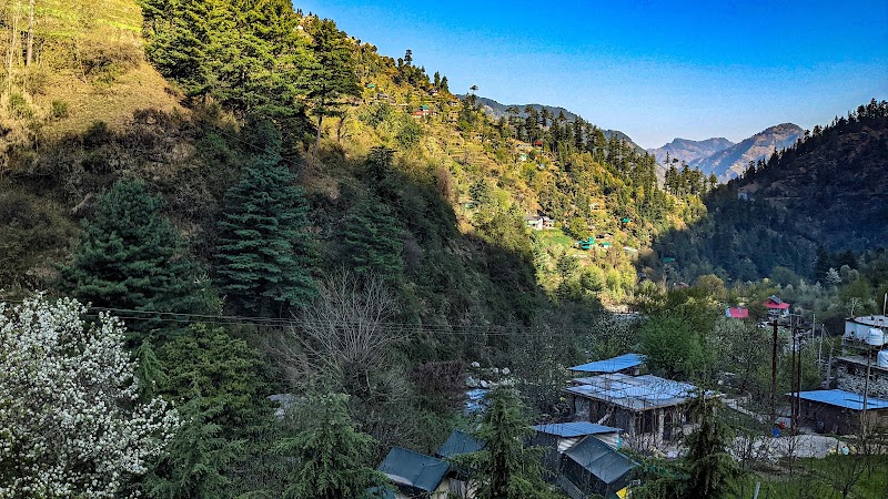 Jibhi Market - Jibhi Market Bus Stop, 305, National Highway, Jibhi, Rashala, Himachal Pradesh 175123, India