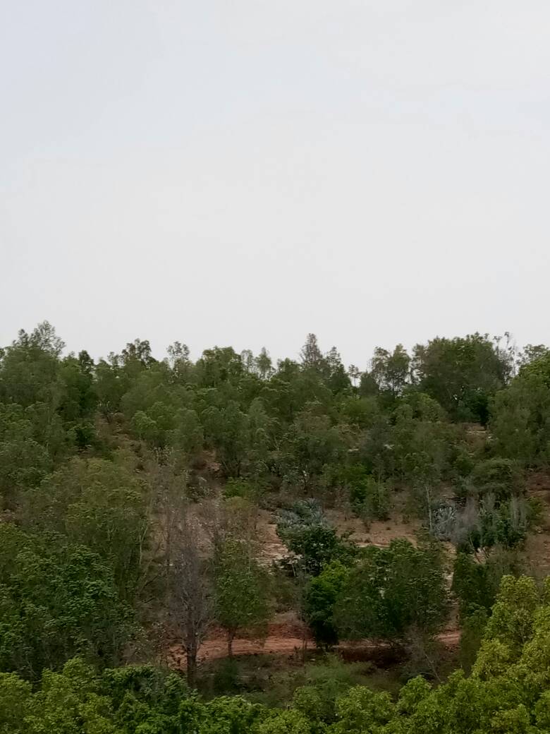 Doddakannelli - Doddakannelli, Bengaluru, Karnataka 560035, India
