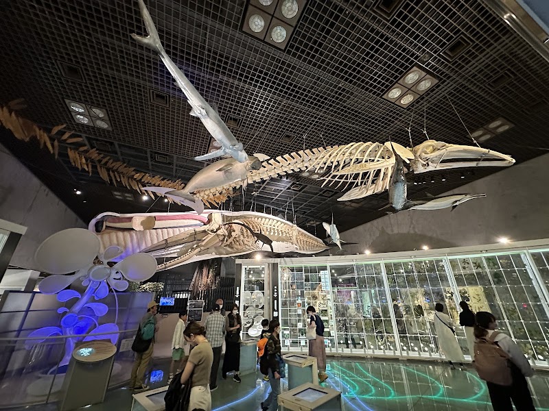 National Museum of Nature and Science - National Museum of Nature and Science 7-20 Uenokōen, Taito City, Tokyo 110-8718, Japan