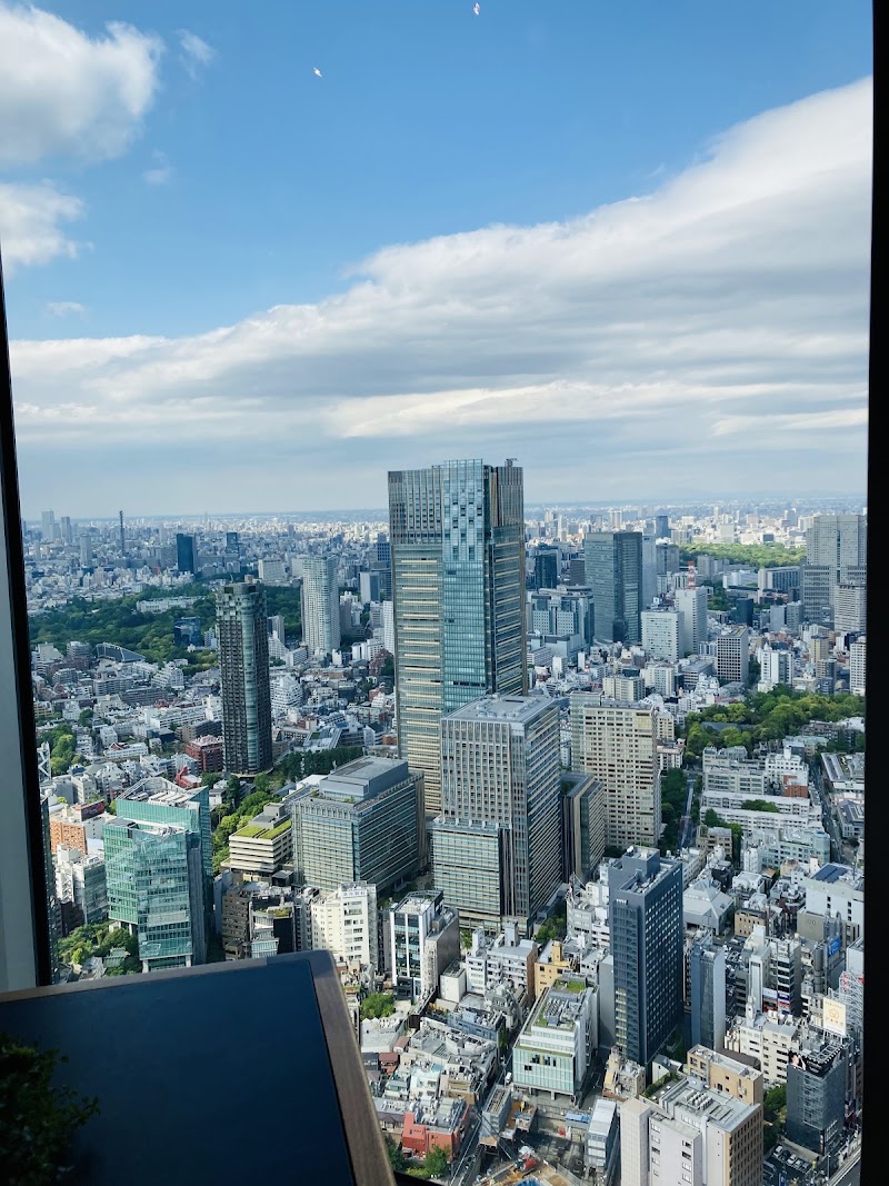 Roppongi Hills - Roppongi Hills 6-chōme-10-1 Roppongi, Minato City, Tokyo 106-6108, Japan