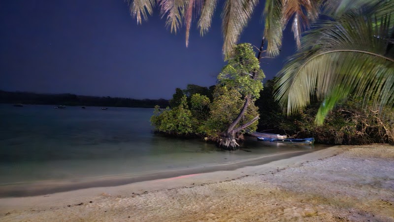 Nemo Cafe - The Beach Bar & Night Club at Havelock Island - Nemo Cafe - The Beach Bar & Night Club at Havelock Island Beach No.2,Havelock Island, Havelock Island Beach Resort,Govind Nagar Beach Havelock Island, Andaman and Nicobar Islands 744211, India
