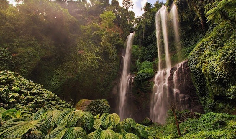 Bali Tour Driver Ubud - Nagiku - Bali Tour Driver Ubud - Nagiku, Jalan Rayan, Nagi, Jl. Raya Andong Banjar Laplapan, Petulu, Kecamatan Ubud, Kabupaten Gianyar, Bali 80571, Indonesia