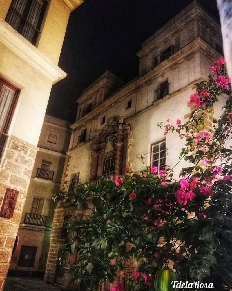 Casa Palacio del Almirante - Casa Palacio del Almirante Pl. San Martín, 4, 11005 Cádiz, Spain