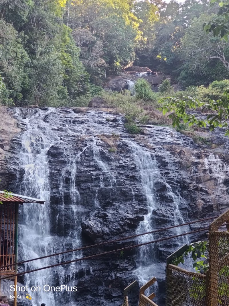 Coorg Tourist Places - cab booking, bangalore to coorg tour
