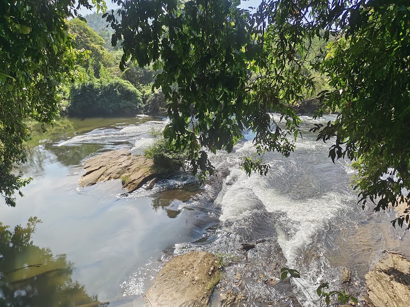 Janaki Forest - Janaki Forest, JQGV+79Q, Maruthonkara, Kerala 673513, India