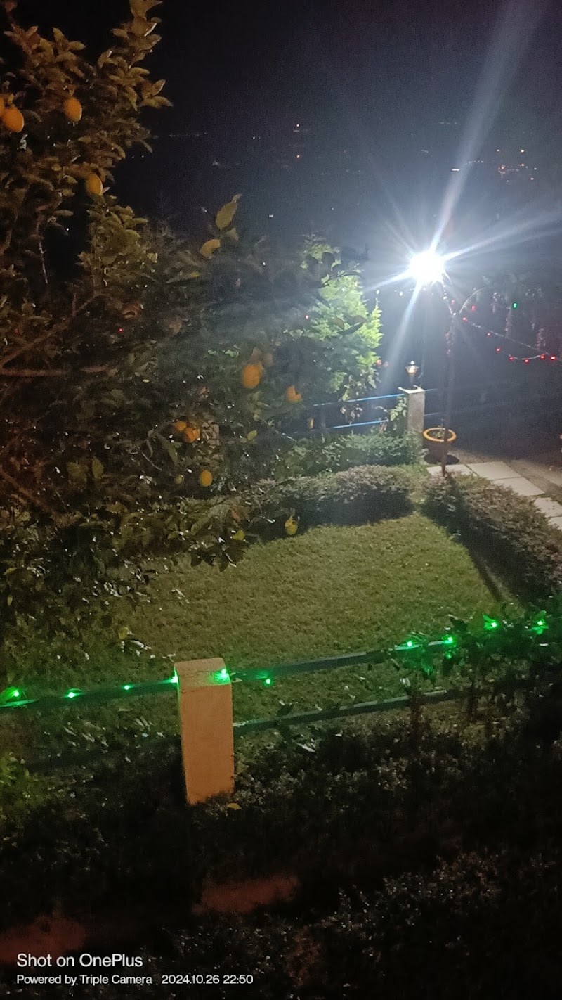 The Tal View Home Stay - The Tal View Home Stay Pandey gaon, near paragliding, Bhimtal, Uttarakhand 263136, India