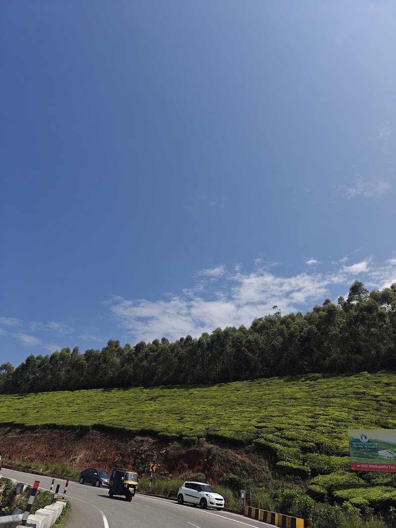 Sunrise view point - Sunrise view point 33HP+MHF, Munnar - Kumily Hwy, Kannan Devan Hills, Keralam 685616, India