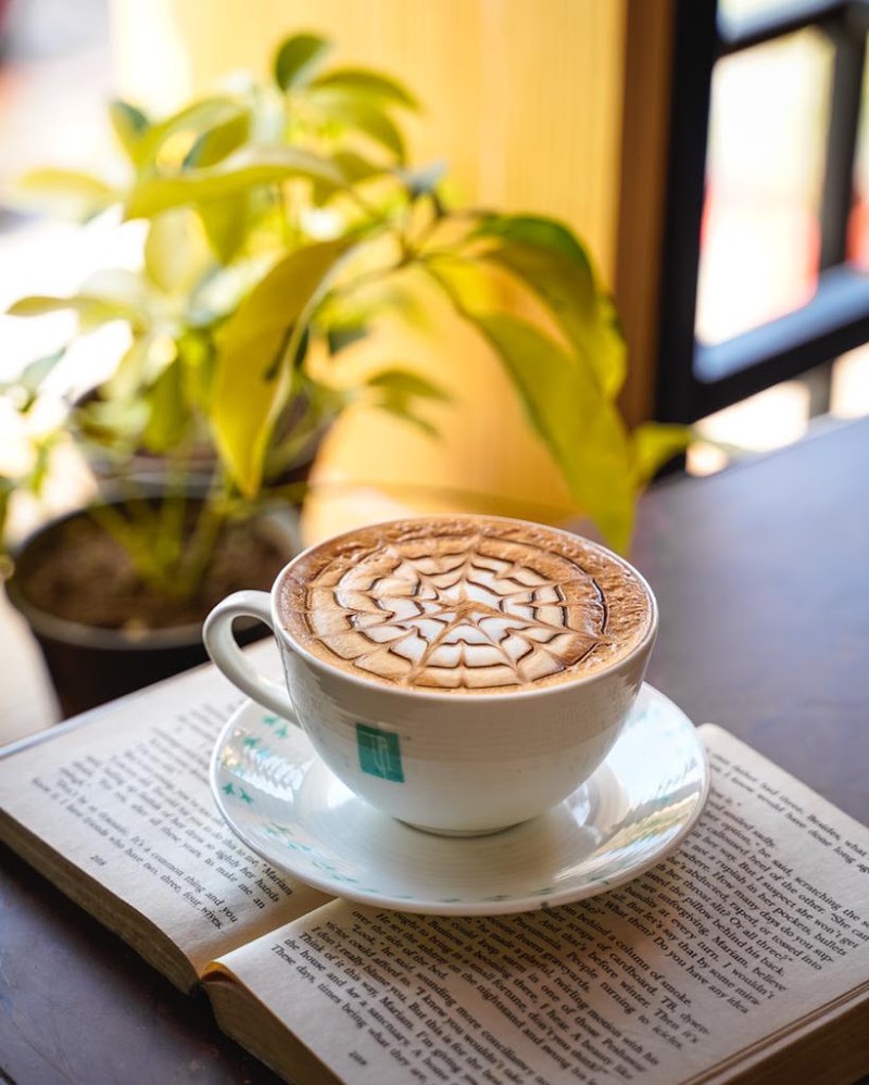 Godwit Cafe | Best Cafes in Raipur | Best Jain food in Raipur | Pure Veg restaurant - Godwit Cafe | Best Cafes in Raipur | Best Jain food in Raipur | Pure Veg restaurant In Front Hyatt, beside Magneto Mall, Jivan Vihar, Raipur, Chhattisgarh 492001, India