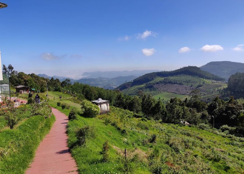 Accord Highland Ooty - Accord Highland Ooty 4/278, Kotagiri Road, Doddabetta Rd, Ooty, Tamil Nadu 643002, India
