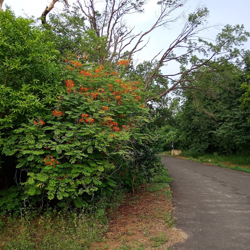 Bharatha Samaja Temple (Theosophical Society) - Bharatha Samaja Temple (Theosophical Society), 2758+GJP, Theosophical Society, Adyar, Chennai, Tamil Nadu 600020, India