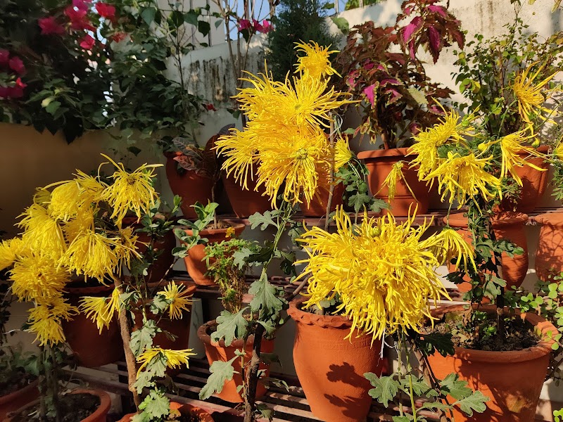 Uttarakhand Himalaya Homestay VO - Uttarakhand Himalaya Homestay VO 6, Pushpanjali Enclave, GMS Rd, Pushpanjali Enclave, Shakti Enclave, Kanwali, Dehradun, Uttarakhand 248171, India