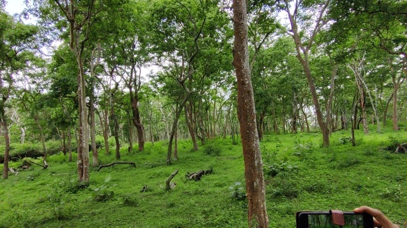 Moyar Waterfalls - View Point - Moyar Waterfalls - View Point HHPX+X2M, Mudumalai, Tamil Nadu 643211, India
