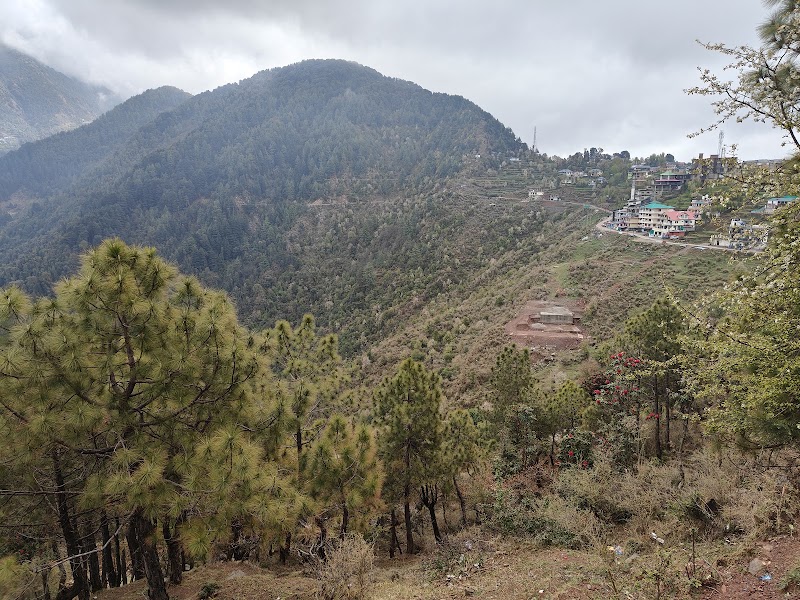 Naddi View Point - Naddi View Point Naddi, McLeod Ganj, Dharamshala, Himachal Pradesh 176216, India