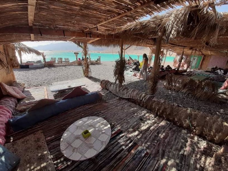 BlueLagoonIsland Camp - BlueLagoonIsland Camp, Blue lagoon, abou galoom, Dahab, South Sinai Governorate 46617, Egypt