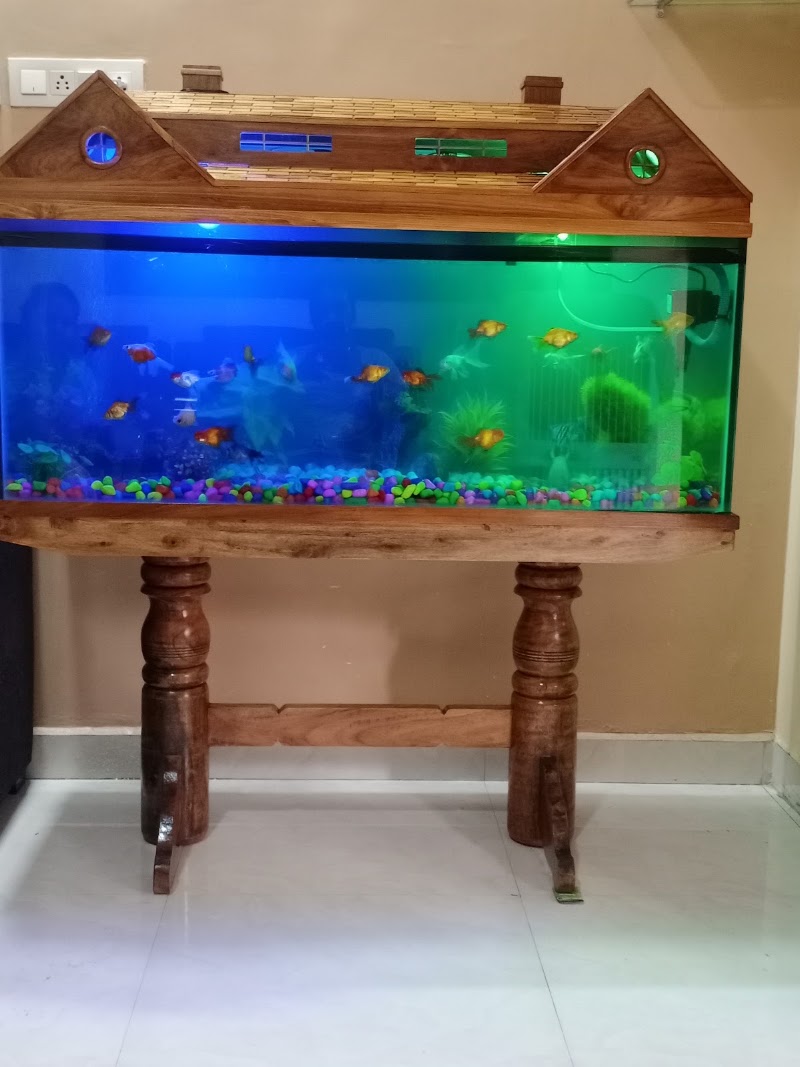 Blue Sea Aquariums - Blue Sea Aquariums Gandhi Chowk Khamtarai Market Shop No. 8, near Balaji Complex, behind shree h.p gass agency, Saptgiri Colony, Shrinagar, Raipur, Chhattisgarh 492008, India