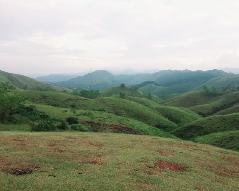 Vagamon Meadows