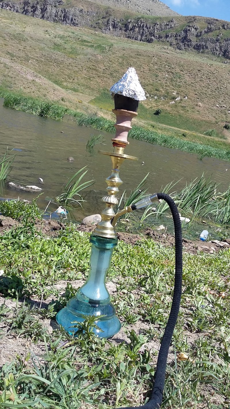 Khiav Chai Forest Park - Khiav Chai Forest Park, 9MXV+C6F, Meshginshahr, Ardabil Province, Iran