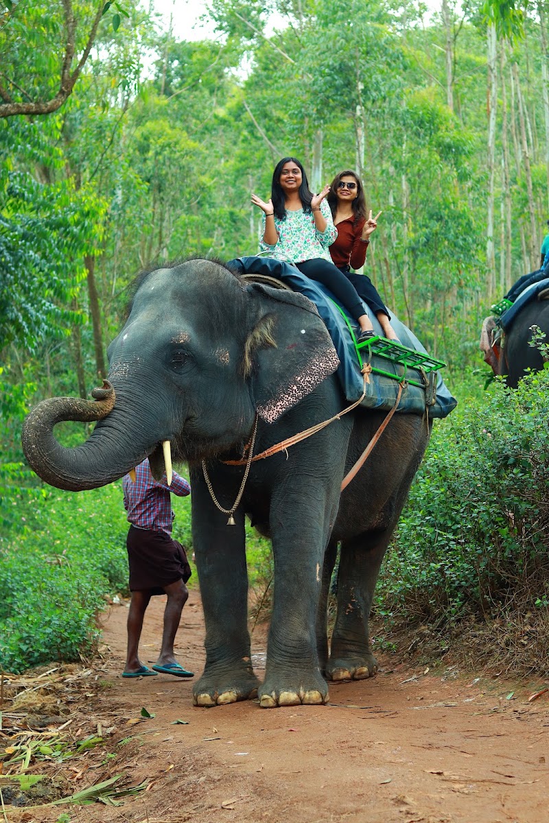 jayshree Holidays - jayshree Holidays 2nd Floor, PWD Complex, Munnar-Nadayar Rd, Nullatanni, Munnar, Kerala 685612, India