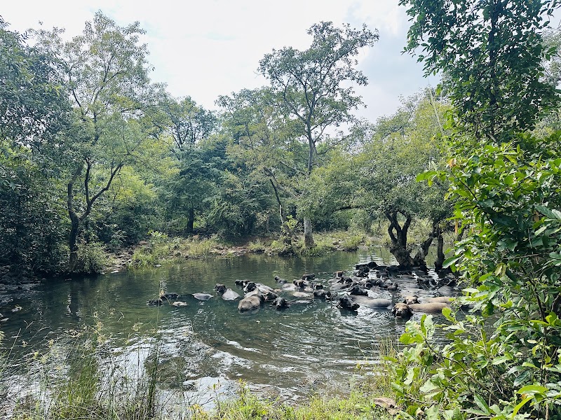 Kutan Nala waterfall - Kutan Nala waterfall, G9GM+VM5, Bakla, Chhattisgarh 493335, India