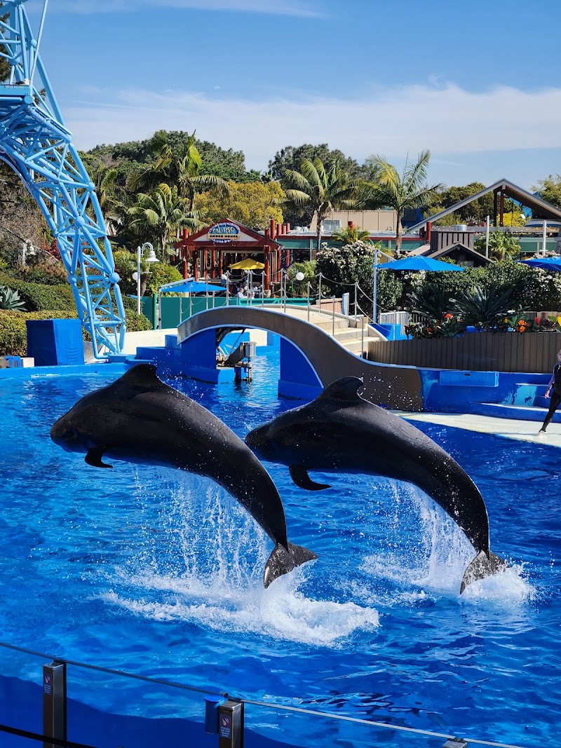 SeaWorld San Diego - SeaWorld San Diego 500 Sea World Dr., San Diego, CA 92109, USA