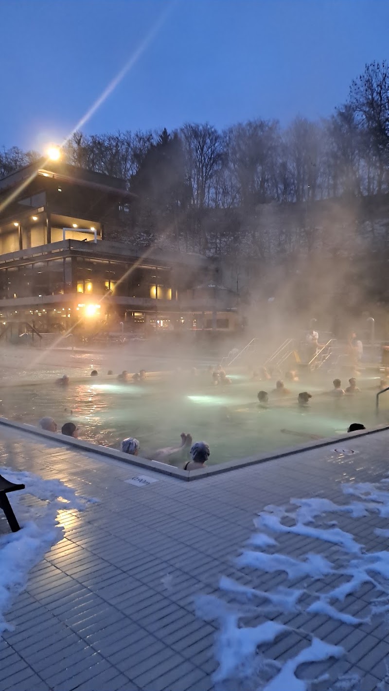 Saunia Thermal Resort - Saunia Thermal Resort, Ivana Petroviče Pavlova 2001/11, 360 01 Karlovy Vary-Karlovy Vary 1, Czechia