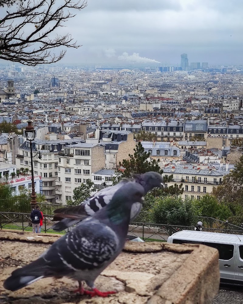 Montmartre - Montmartre Montmartre, 75018 Paris, France