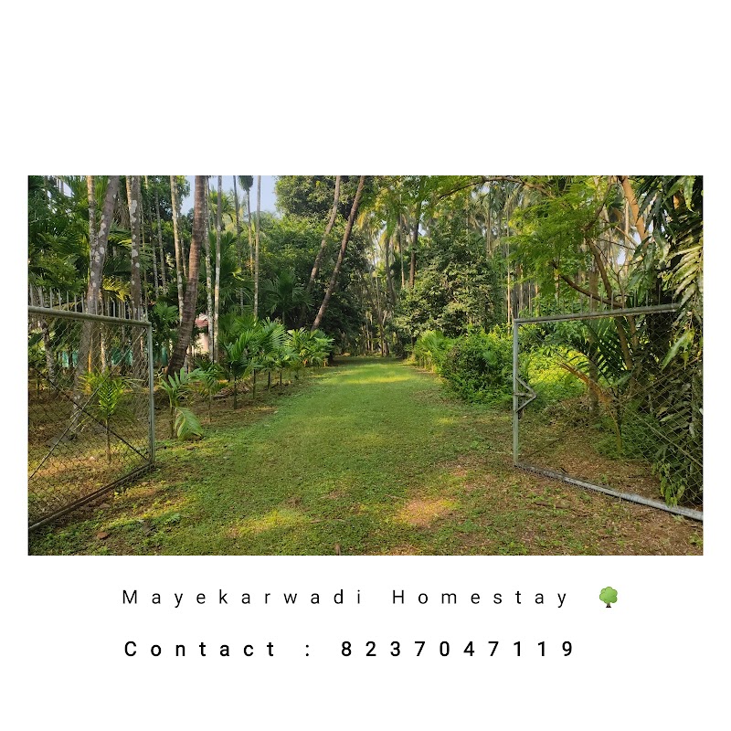 Mayekarwadi - The Beachside Homestay, Thal Chalmala Alibaug - Mayekarwadi - The Beachside Homestay, Thal Chalmala Alibaug, Mayekar Wadi, Navapada, Alibag, Thal, Maharashtra 402207, India