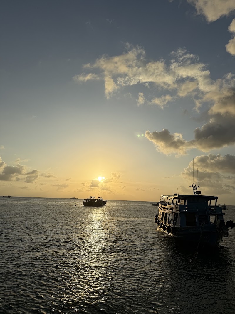 Master Divers - Master Divers, 25, 8, Mae Haad Koh Tao, Amphoe Ko Pha-ngan, Chang Wat Surat Thani 84360, Thailand