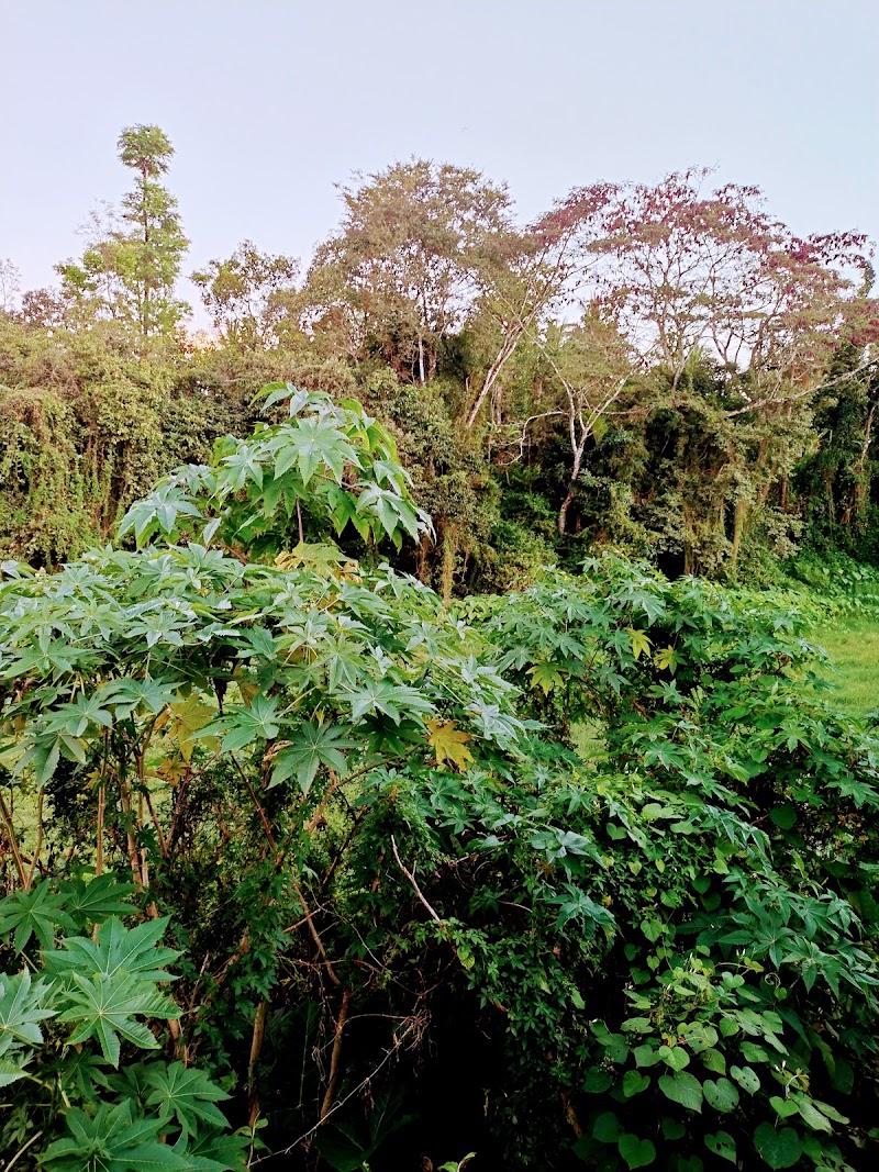 Aldur - Aldur, Karnataka, India