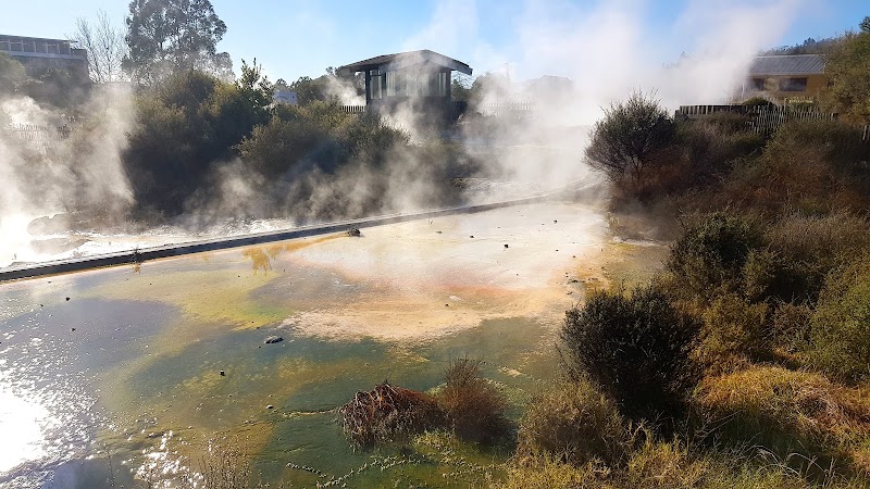 Whakarewarewa - Whakarewarewa Whakarewarewa, Rotorua, New Zealand