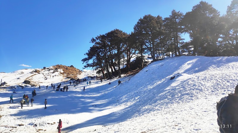 Gurson Bugyal - Gurson Bugyal, GH67+J67, Auli Laga Salude, Uttarakhand 246443, India