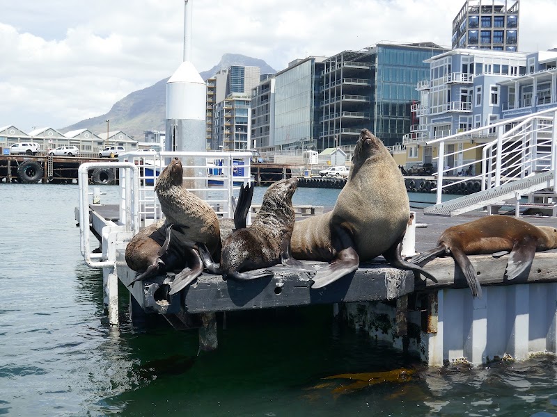 Victoria & Alfred Waterfront - Victoria & Alfred Waterfront, Cape Town, South Africa