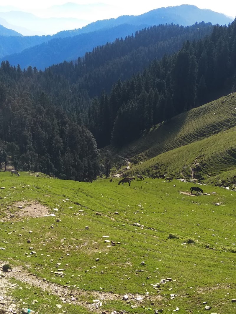 Shikari Devi - Shikari Devi Shikari Devi, Himachal Pradesh 175047, India