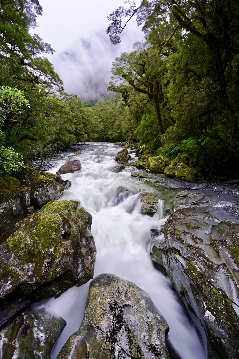 Milford Sound Lookout - Milford Sound Lookout, 79 Milford Sound Highway, Milford Sound 9679, New Zealand