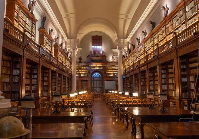 Alma Mater Studiorum - Università di Bologna - Alma Mater Studiorum - Università di Bologna, Via Zamboni, 33, 40126 Bologna BO, Italy