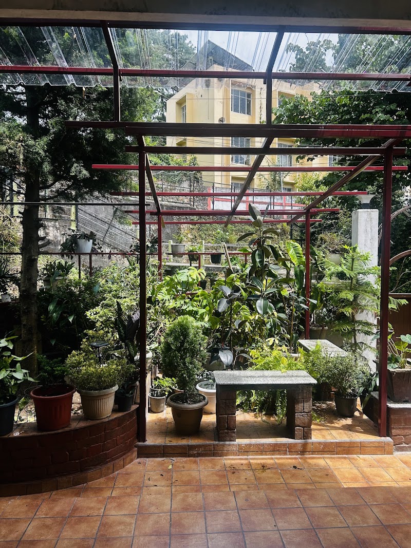 Apple Cherry Pine Green Homestay - Apple Cherry Pine Green Homestay Lane1, Risa Colony, Wahdienglieng, Malki, Shillong, Meghalaya 793003, India