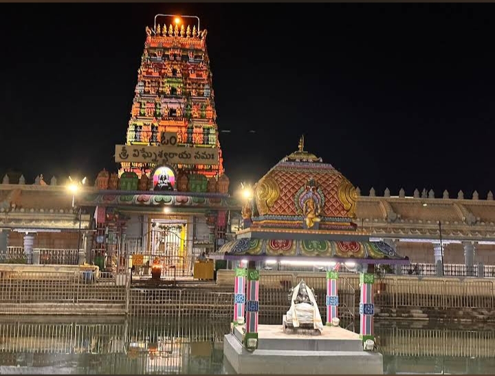 Kanipakam Vinayaka Temple - Kanipakam Vinayaka Temple, Irala Mandal, Kanipakam, Andhra Pradesh 517131, India