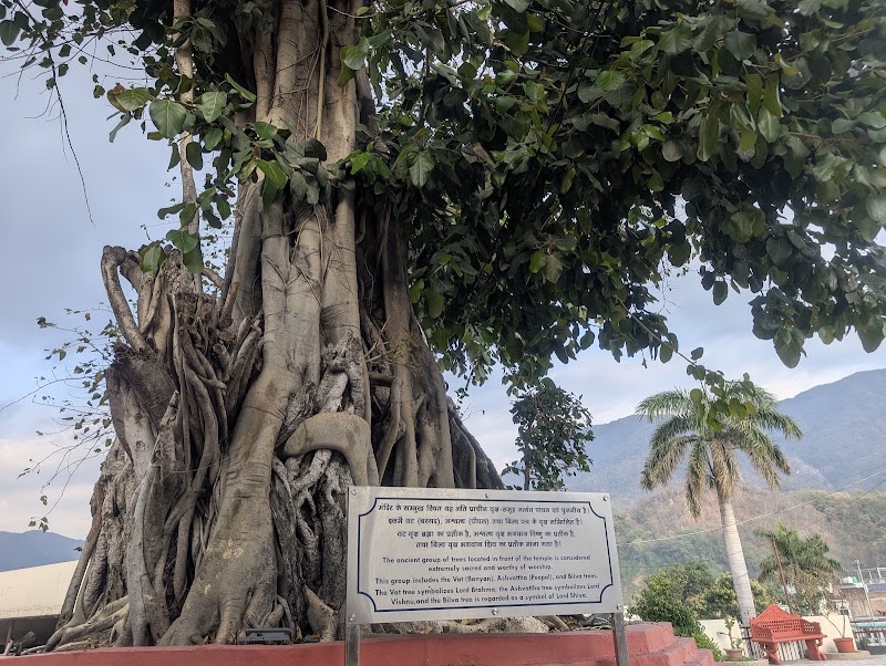 Shri Bharat Mandir - Shri Bharat Mandir 9, Ghat Rd, Mayakund, Rishikesh, Uttarakhand 249201, India