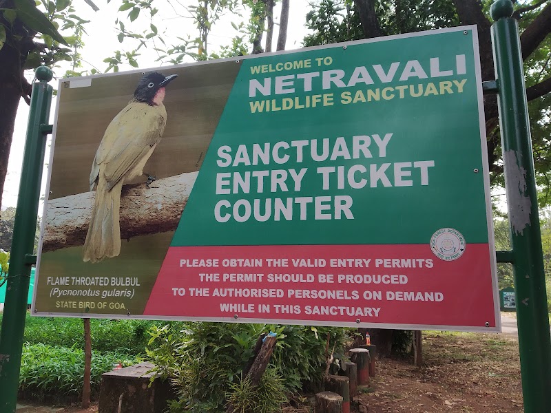 Netravali Wildlife Sanctuary Goa - Netravali Wildlife Sanctuary Goa 36MJ+FR7, Unnamed Road, Neturlim, Goa 403704, India