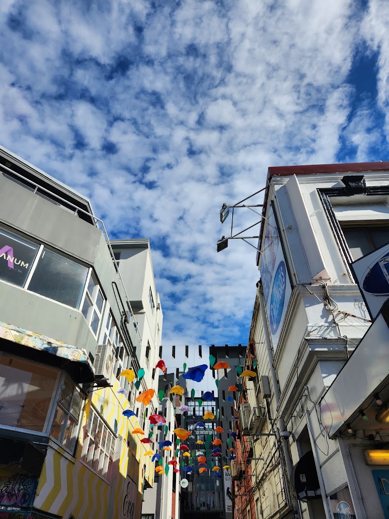 Te Aro Park - Te Aro Park, 2 Dixon Street, Te Aro, Wellington 6011, New Zealand
