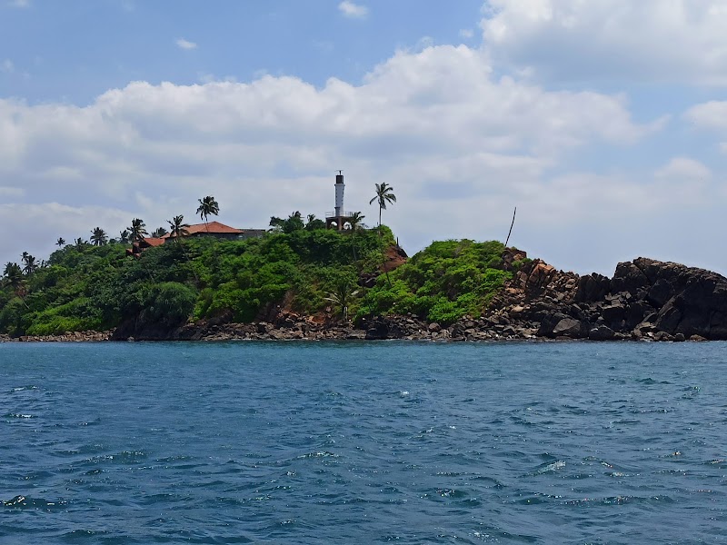Mirissa Fisheries Harbour - Mirissa Fisheries Harbour 81740 Harbour Road, Weligama 81740, Sri Lanka