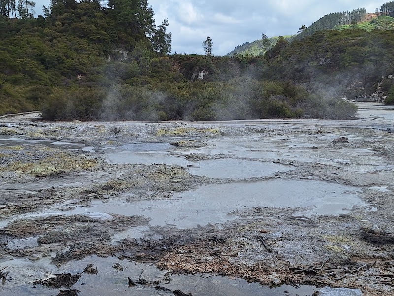 Lady Knox Geyser - Lady Knox Geyser 201 Waiotapu Loop Rd, Rotorua, Waiotapu 3073, New Zealand
