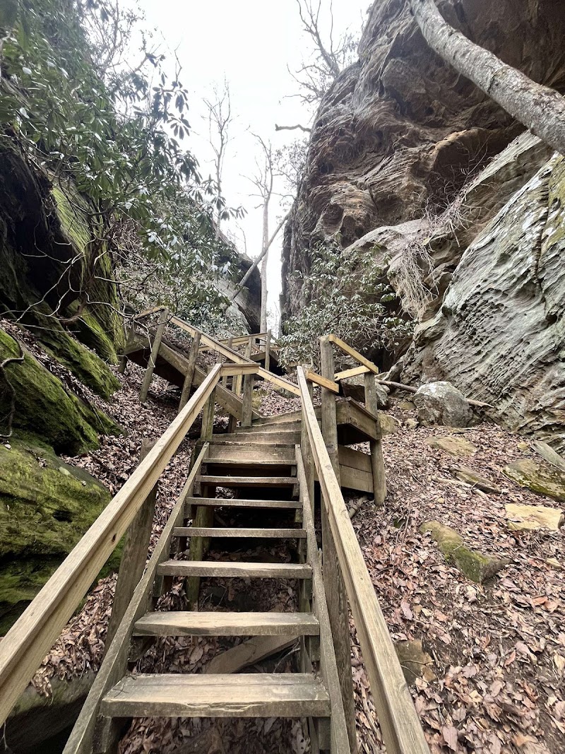 Natural Bridge State Park Woodland Center - Natural Bridge State Park Woodland Center 2135 Natural Bridge Road Slade, 2135 Cottage Rd, Slade, KY 40376, USA