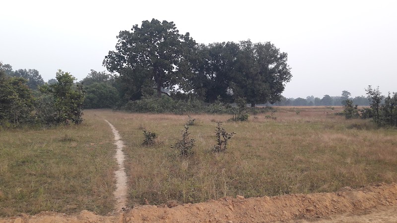 South Eastern Coalfields Limited Baroud Gharghoda Raigarh (C.G) - South Eastern Coalfields Limited Baroud Gharghoda Raigarh (C.G), 000 0000, Chhattisgarh 496111, India