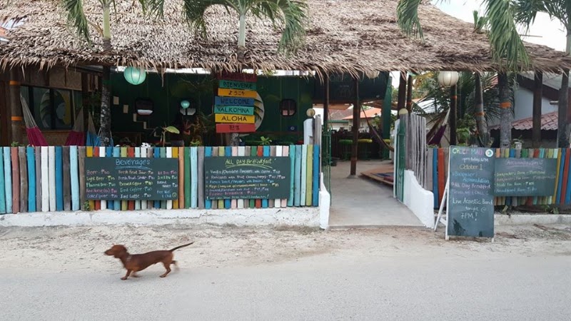Chief Mau Moalboal Hostel & Cafe - Chief Mau Moalboal Hostel & Cafe Panagsama Beach, Moalboal, 6032 Cebu, Philippines