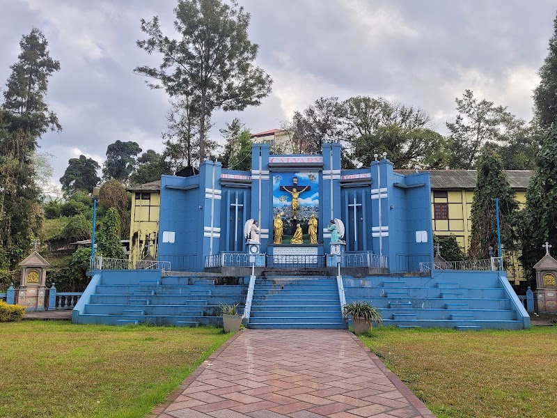 Cathedral of Mary Help of Christians - Cathedral of Mary Help of Christians HV9R+CFP, Laitumkhrah, Shillong, Meghalaya 793003, India