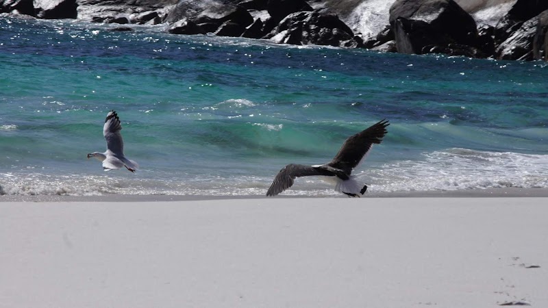Little Hellfire Bay - Little Hellfire Bay, Coastal Walk Trail, Cape Le Grand WA 6450, Australia